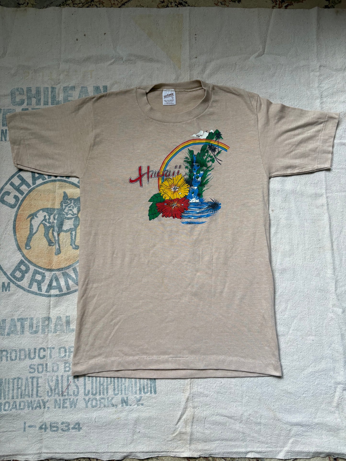 1970s Hawaii Rainbow t shirt