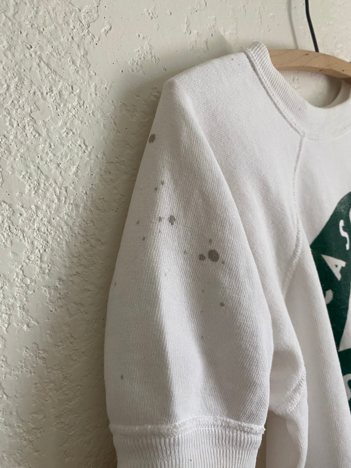 1960s 1970s Cascade Washington School short sleeve sweatshirt