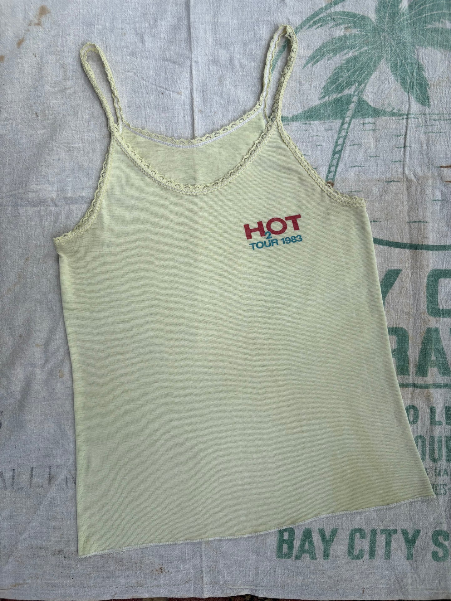 1980s Hall and Oates Concert Tank top 1983 H2O Tour Small Medium