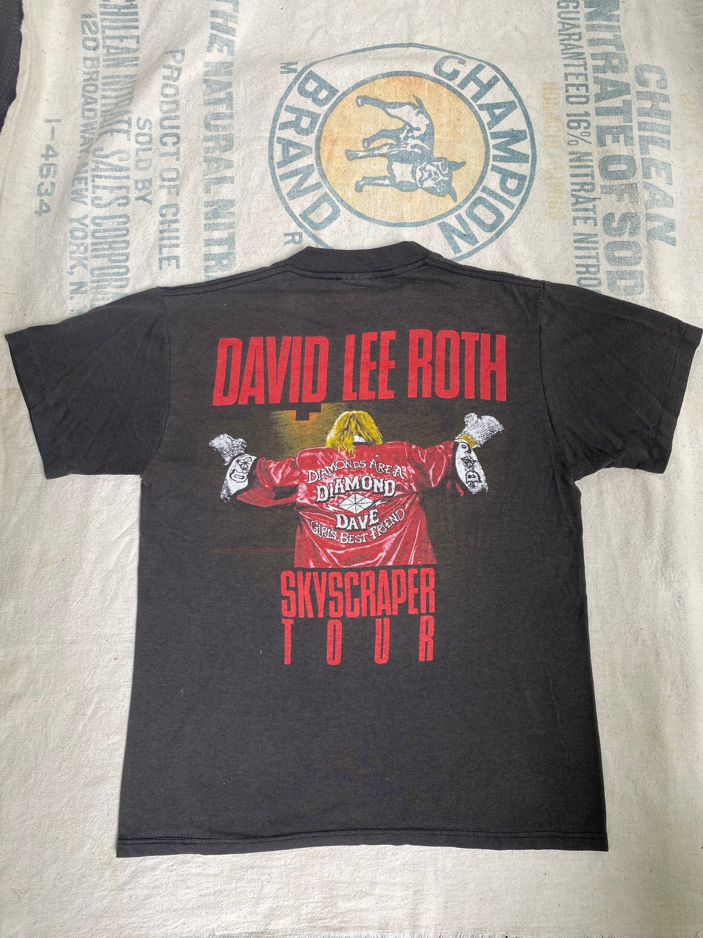 1988 David Lee Roth Skyscraper Tour T Shirt