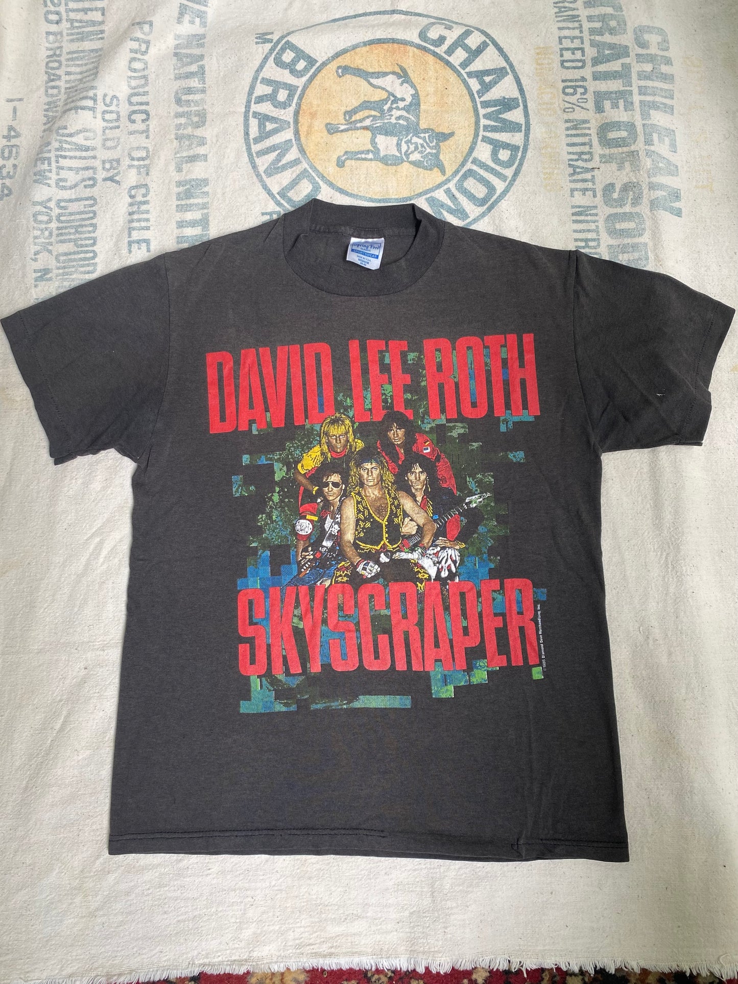 1988 David Lee Roth Skyscraper Tour T Shirt