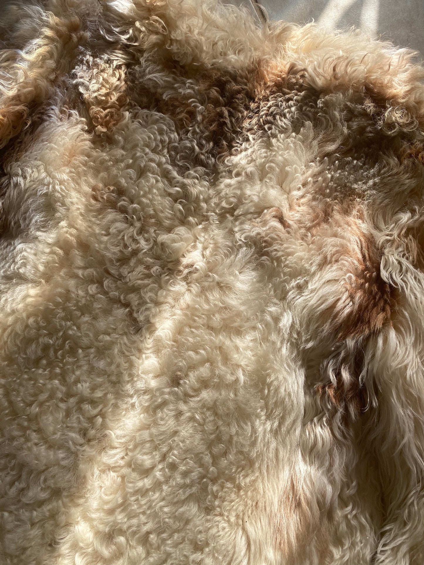 1970s Soft Curly Lamb Fur Jacket