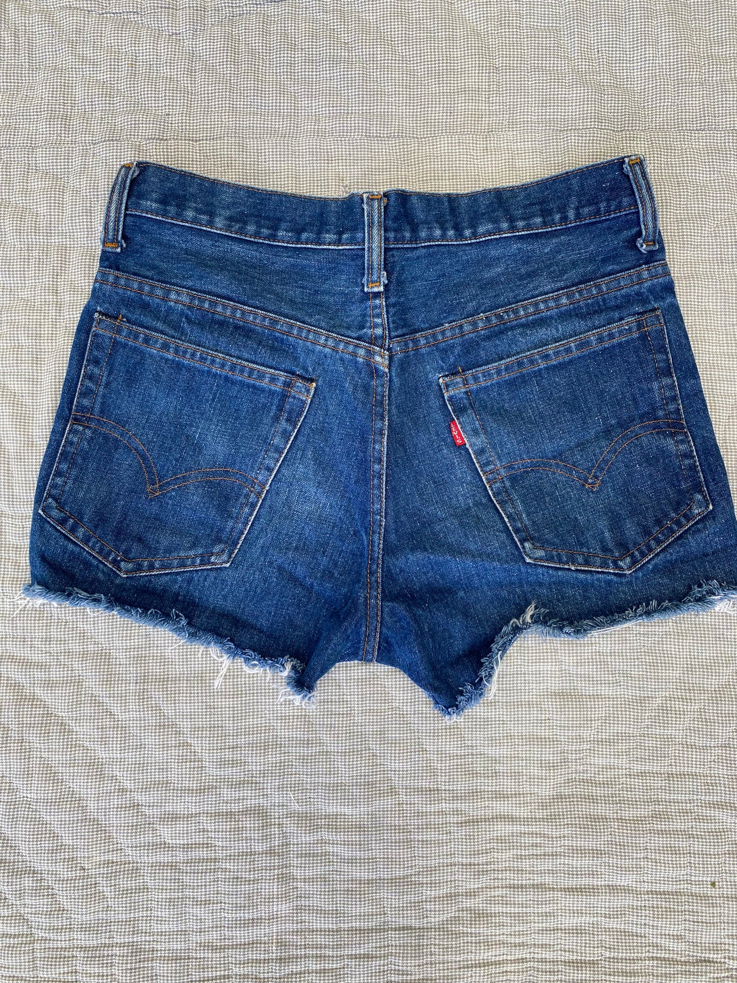 Big E Levi’s Cut Off Shorts